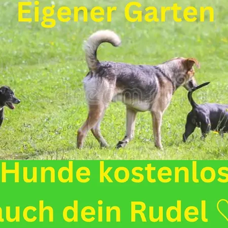 Am Feldrain *