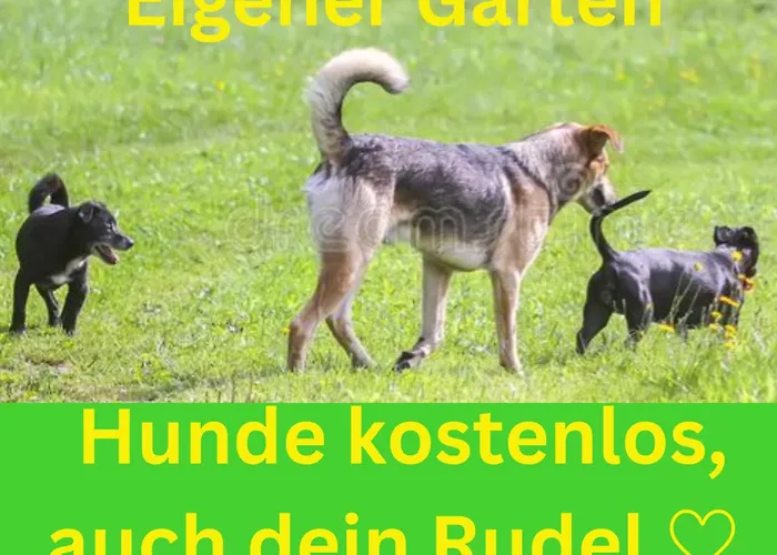 Am Feldrain Urlaub Mit Hund Im Weserbergland *